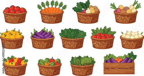 Colorful vector illustration of baskets filled with fresh vegetables including tomatoes, carrots, potatoes, peppers, eggplants, onions, and leafy greens