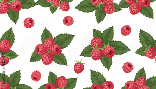 Seamless vector pattern of ripe red raspberries with green leaves on white background, natural fruit design for packaging and textiles