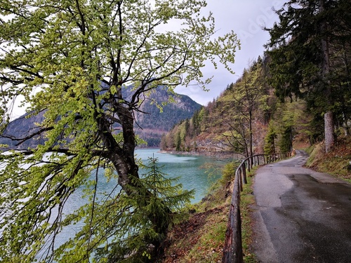 Straße am Walchensee