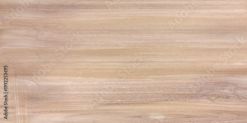 Close up of polished wooden plank for interior design backdrop. Elegant light oak wood panel texture