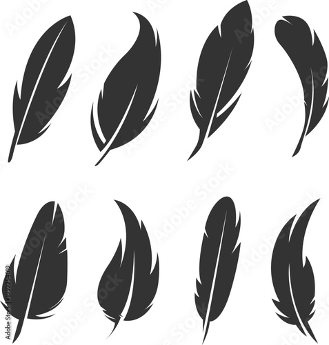 vector set of feathers