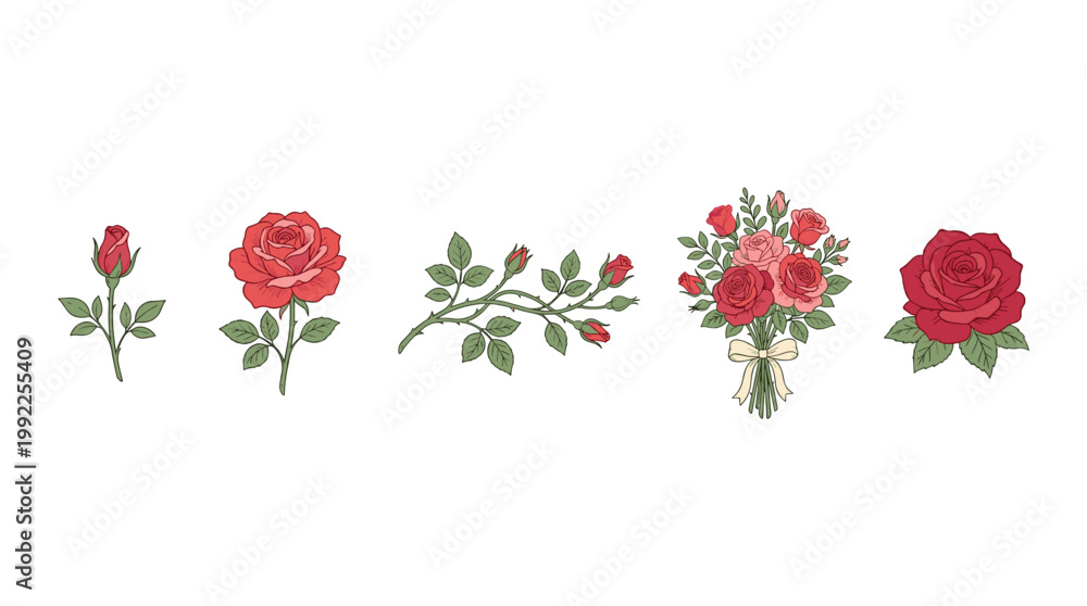 Fototapeta premium Beautiful hand drawn roses in various stages of bloom and arrangements, including buds, single flowers, branches, and a charming bouquet, perfect for elegant design projects.