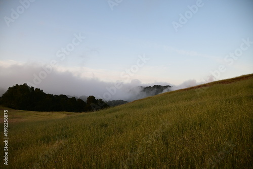 misty morning in the mountains