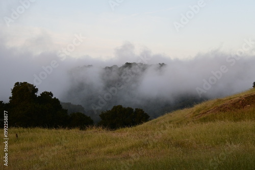 fog in the mountains