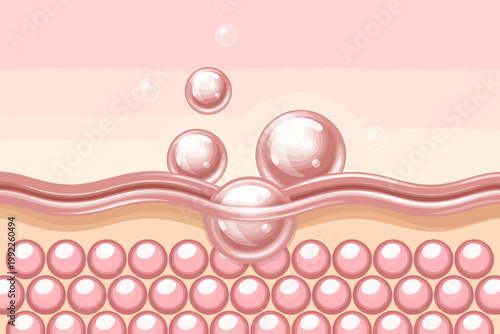 Skin layers with moisturizing bubbles and cells  detailed crosssection illustration