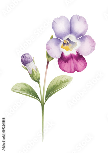 Elegant pastel pansy with soft gradients and natural hand-painted texture.