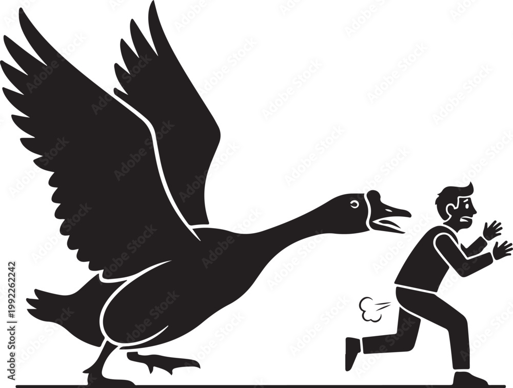 Fototapeta premium Man running from large bird attack.
