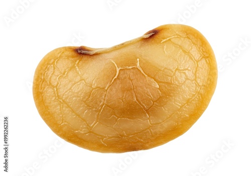 Macro Close-up of a Single Cooked Soybean Isolated on White Background