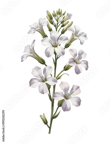 Elegant vertical composition of light pastel blooms with slender green stem.
