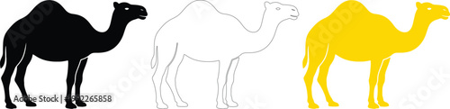 Camel Silhouette Set in Black, Outline and Yellow Vector Dromedary Animal Illustration