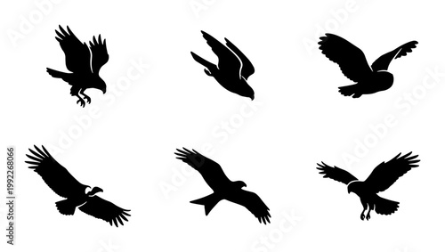 Black eagle silhouettes set, flying bird of prey vector icons, predatory hawk and falcon shapes, 6 wild raptor elements for logo design