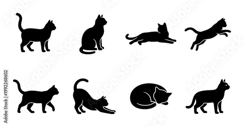 Black cat silhouettes set of 8 vector icons, domestic feline pet poses in various actions, minimalist animal shapes for logo design and web graphics