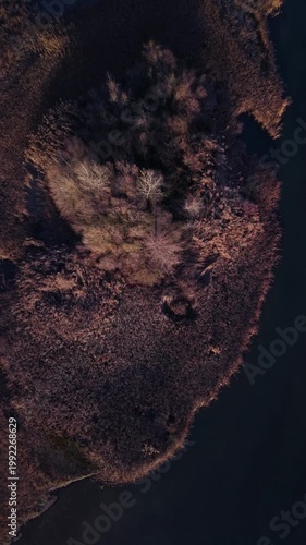 Aerial view from a drone of the Alberche River near the Cazalegas Reservoir, close to the town of Cazalegas. Province of Toledo. Castile-La Mancha. Spain. Europe