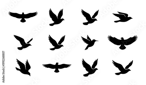 Tableau sur toile Black bird silhouettes collection, set of 12 flying birds vector icons, soaring