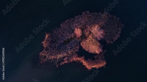 Aerial view from a drone of the Alberche River near the Cazalegas Reservoir, close to the town of Cazalegas. Province of Toledo. Castile-La Mancha. Spain. Europe