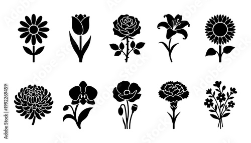 Black floral silhouette icons set, 10 botanical flower vector illustrations, minimalist rose tulip lily and sunflower symbols for logo design