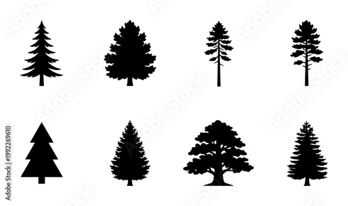 Pine tree silhouettes set, 8 black evergreen and coniferous tree icons, forest timber and woodland vegetation vector elements for outdoor design