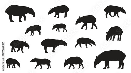 Tapir silhouettes collection vector animal set isolated on white background