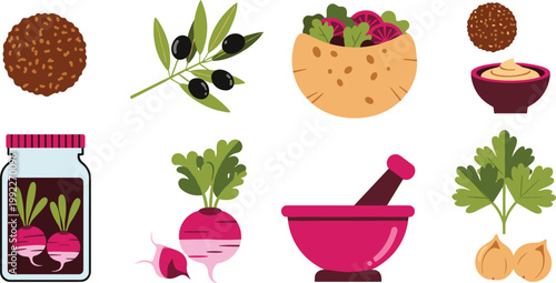 Authentic Middle Eastern Falafel and Pita Sandwich Vector Illustration Set Featuring Hummus, Olive Branch, Pickled Radish, and Mortar and Pestle for Culinary Branding