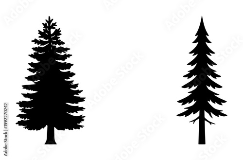 Pine tree silhouettes, black evergreen conifer vector icons, minimalist spruce and fir tree shapes isolated on white background