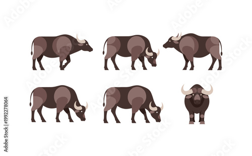 Buffalo Herd Multiple Poses