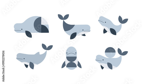 Cute Beluga Whale Illustrations