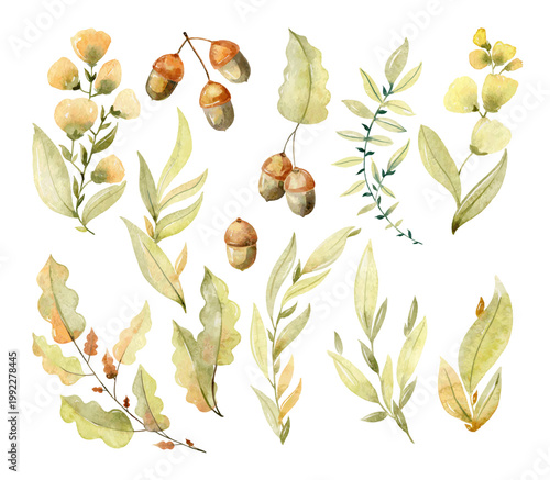 Set of vector watercolor forest leaves for invitation, greeting card, wallpapers, frames, background, etc.