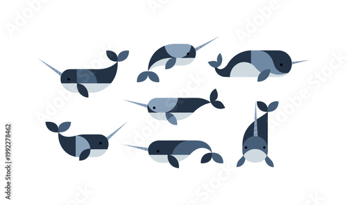 Narwhal Collection Flat Design
