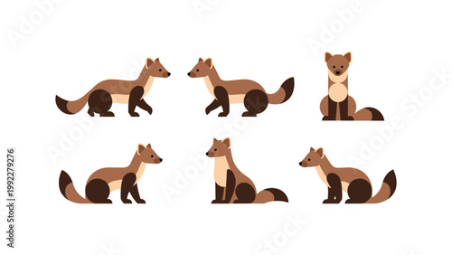 Cute Marten Animal Collection