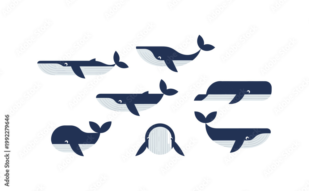 Obraz premium Whale Collection