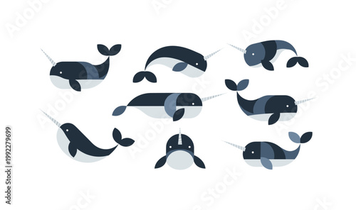 Narwhal Collection Flat Design