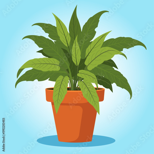 Illustration of a potted Monstera, the vibrant green foliage.