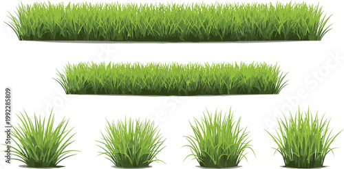 Green Grass Border and Bush Collection with Lush Lawn Elements for Nature Landscape Design, Garden Decoration and Ground Vector Illustration Set