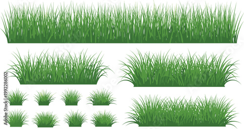 Green Grass Border and Tuft Collection with Lush Lawn Elements for Nature Landscape Design, Garden Decoration and Ground Texture Vector Illustration Set