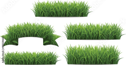 Green Grass Patch Collection with Lush Lawn Elements for Nature Landscape Design, Game Assets and Decorative Ground Vector Illustration Set