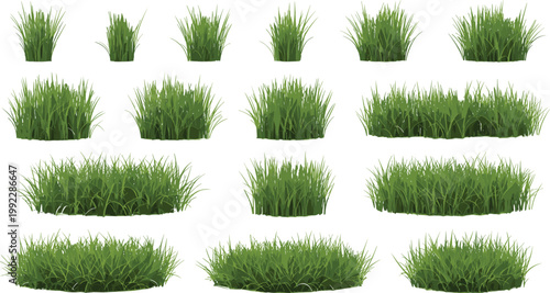 Green Grass Patch Collection with Various Lawn Bush Elements for Nature Landscape Design, Garden Decoration and Ground Texture Vector Illustration Set