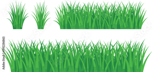 Green Grass Tuft and Lawn Border Collection with Fresh Meadow Elements for Nature Landscape Design, Garden Decoration and Ground Vector Illustration Set
