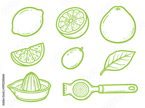 Lime Fruit Collection Fresh Zesty and Vibrant Citrus Delights.