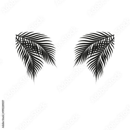 Black palm leaf silhouettes on white background for tropical summer design and decoration.