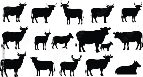 a collection of black silhouettes featuring different bulls and cows, including adults and calves, in various poses on a plain white background, ideal for use in educational materials, presentations, 