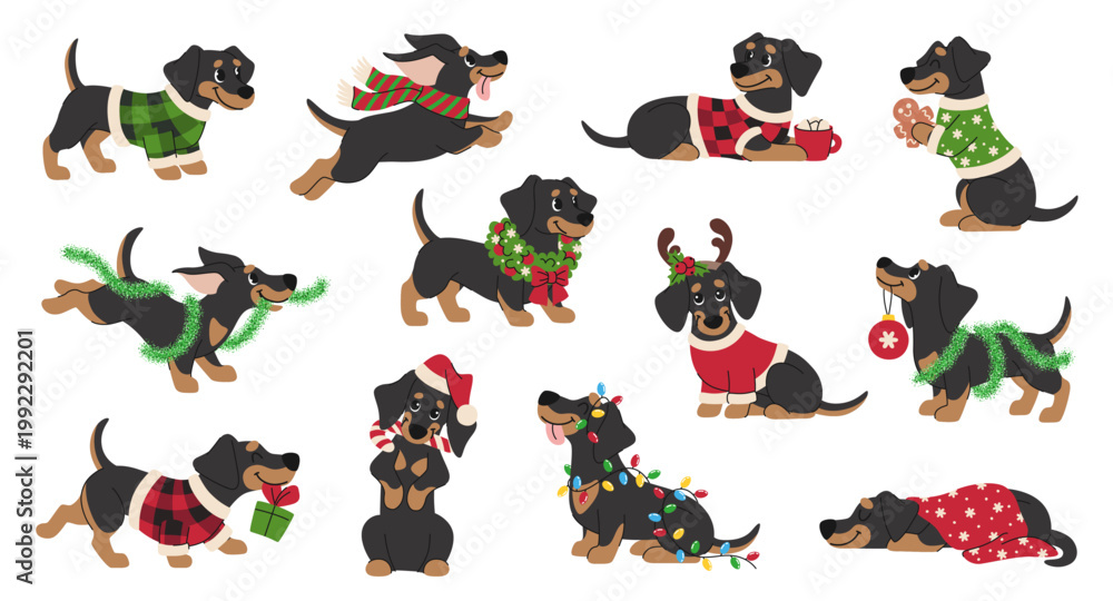 Obraz premium Cute cartoon Christmas dachshund set. Children sausage dogs in cozy winter clothes, hats, scarves, with festive accessories and sweets.