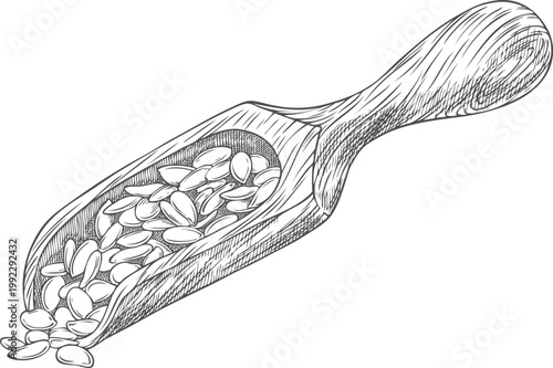 Wooden scoop with flax seeds, vintage monochrome hand sketch.