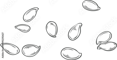 Flax seed pile vector sketch, engraved hand drawn superfood, Linen cereal crops seeds heap, condiment or seasoning grain