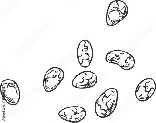 Falling chia seeds, black and white hand-drawn sketch.