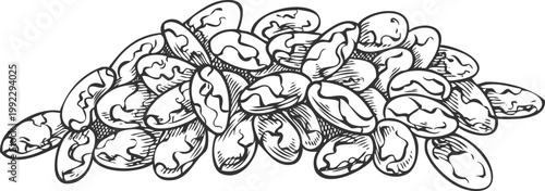 Chia seeds pile engraved sketch, vector hand drawn condiment or seasoning grains, cereal crops harvest organic superfood