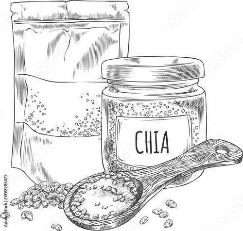Chia plant grains and seeds in zip bag, glass jar and wooden spoon vector sketch, engraved hand drawn superfood products