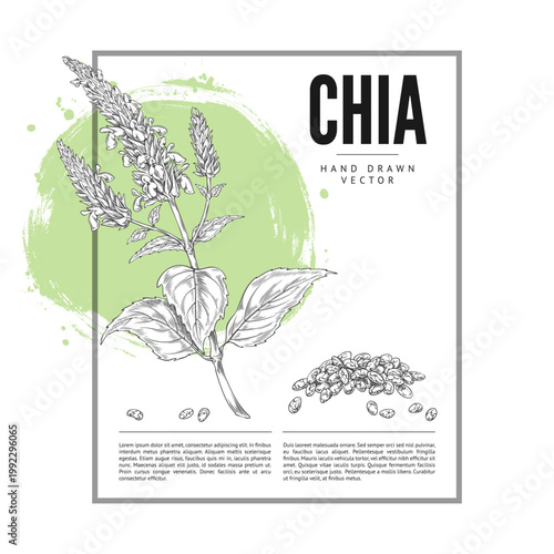 A monochrome poster featuring a branch, flowers, leaves, and chia seeds, hand-drawn