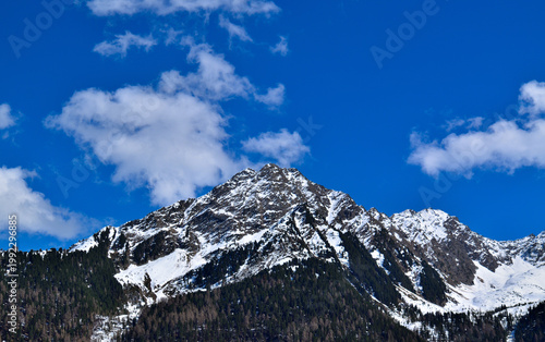 Canvas Print snow covered mountains