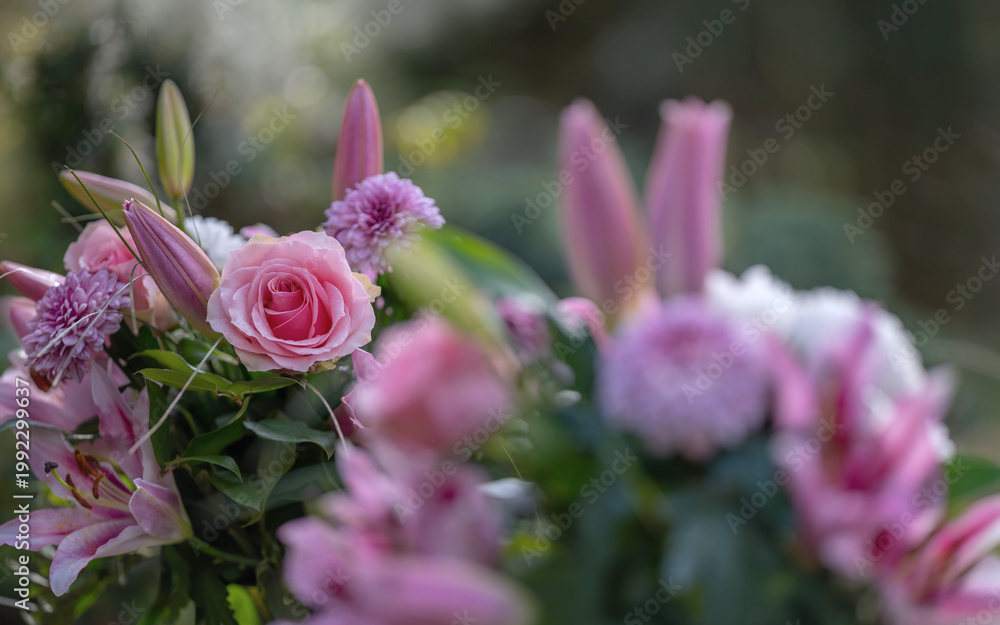 Obraz premium Alles beginnt in den Parks zu blühen Blumen im April