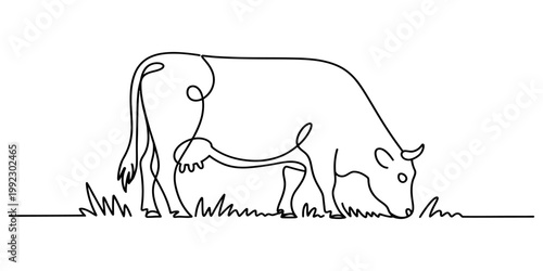 Minimalist continuous line art design featuring a cow grazing peacefully in a field on a clean white background. Vector, illustration